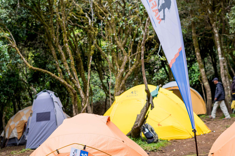 Kilimanjaro: Caminhada de 6 dias na Rota Machame com transfer do aeroporto