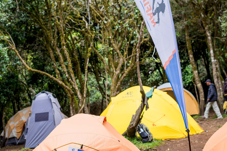 Kilimanjaro: Caminhada de 6 dias na Rota Machame com transfer do aeroporto