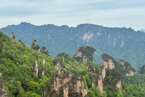 Zhangjiajie: Avatar Forest Park Group Tour or Ticket Big Group Tour with English Guide & Entry Ticket (11-16 ppl)