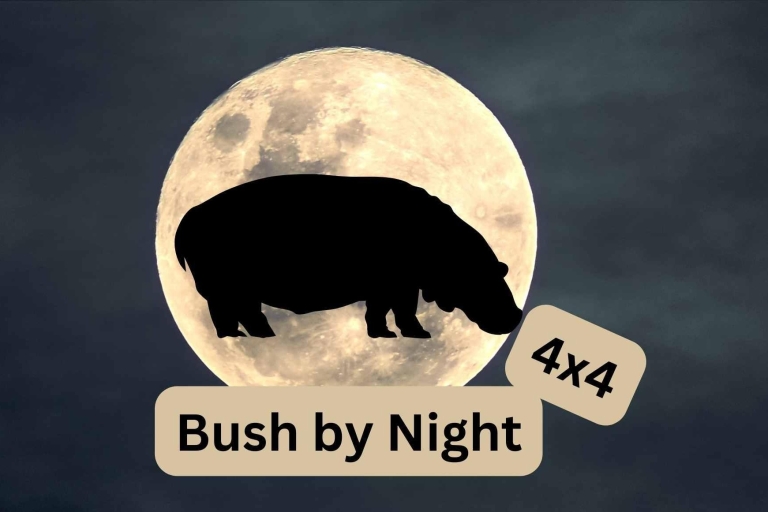 Wodospady Wiktorii: Bush by Night Drive wokół Victoria FallsWodospady Wiktorii: Bush by Night Drive w 4x4