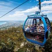 Family Lunch and Arthurs Seat Eagle for 2 Adults and 2 kids