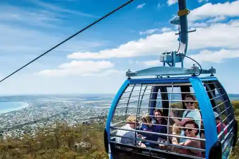 Family Lunch and Arthurs Seat Eagle for 2 Adults and 2 kids