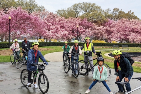 Washington DC: Cherry Blossom Festival Tour by Bike