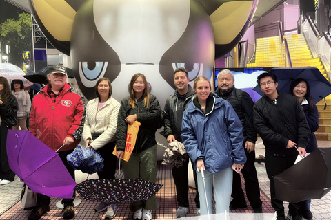 Tokyo Private Customizable Tour: Top Attractions by Guide