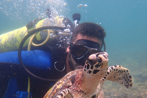 Dive in Corals at Porto da Barra Beach in Salvador-Bahia Beach diving in Corais