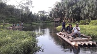 Manu National Park 4D/3N Ecotourism and Adventure - Housity