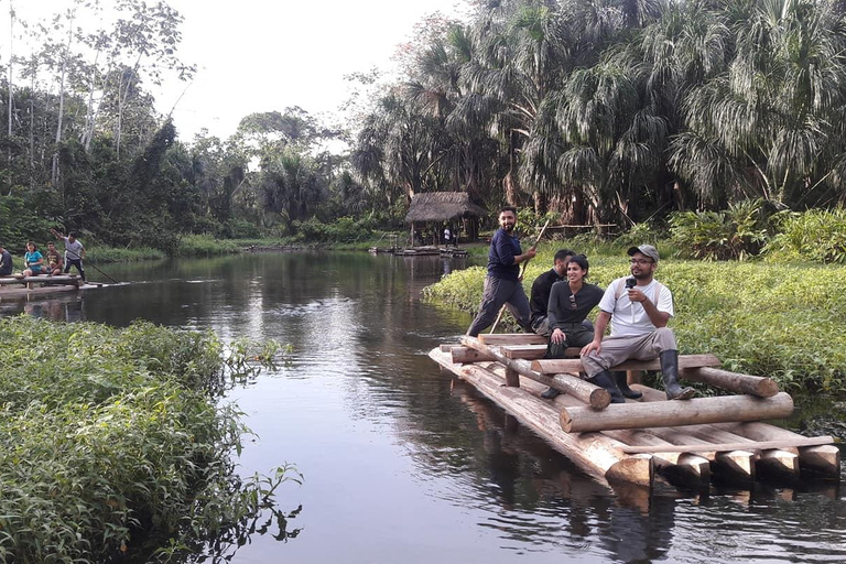From Cusco: Manu Park 3-day ecotourism and adventure From Cusco: Manu Park 3-day ecotourism and adventure