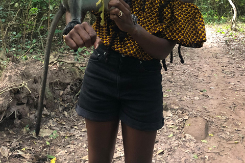 Ghana: 2-Day Monkey Sanctuary, Waterfall and Hiking Tour