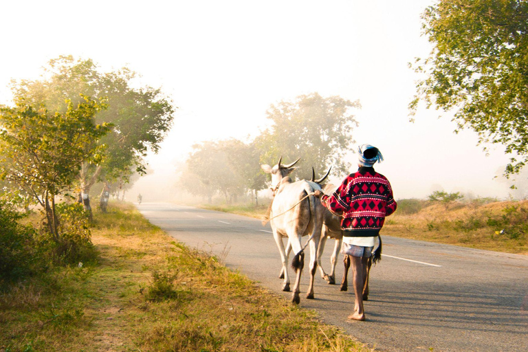 Tour durch die Dörfer von Varanasi (geführte Tour mit dem Auto)