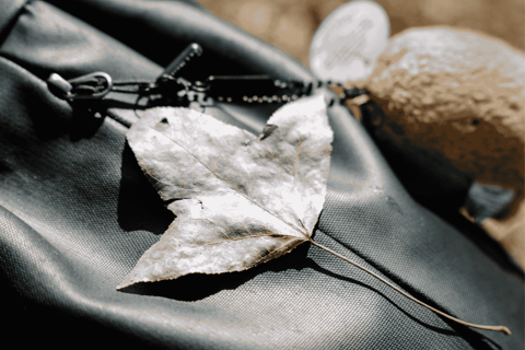 Hong Kong Eco-tourism: Guided Forest Bathing Experience Private Forest Therapy Session