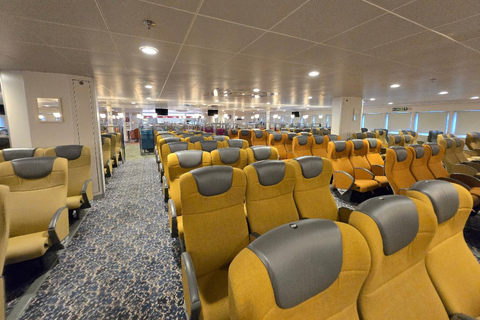 PanStar Busan Coastline Cruise & Sunset & Fireworks