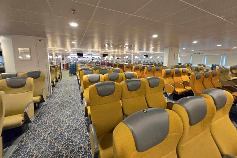 PanStar Busan Coastline Cruise & Sunset & Fireworks