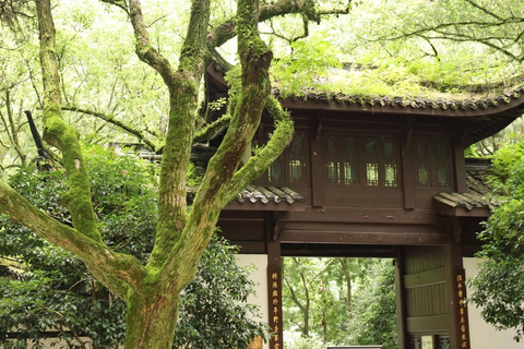 Hangzhou Yunqi Bamboo Trail Admission Ticket