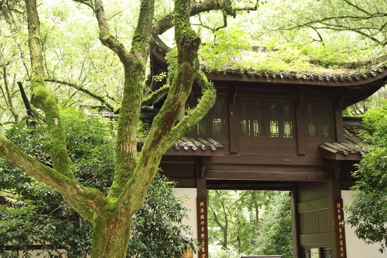Hangzhou Yunqi Bamboo Trail Admission Ticket