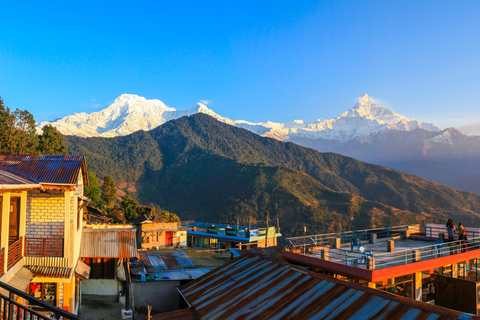 Pokhara : 3 jours de randonnée facile dans les villages de Dhampus et d&#039;Astam Himalayas