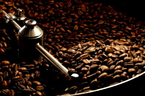 San José: Hacienda La Chimba Coffee Experience Tour