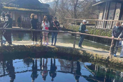 Tokyo: Mount Fuji Affordable Customizable Private 1-Day Tour Mount Fuji one day Private tour in Luxury Land Cruiser