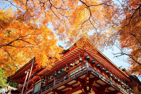 Osaka: Nara, Akame 48 Waterfalls & Tanzan Shrine Tour Shared Tour, Meet at Tsurutontan Soemoncho
