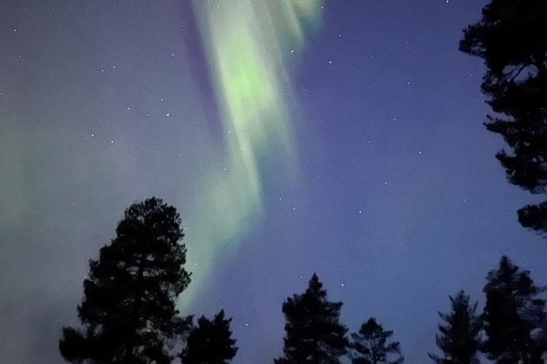 Saariselkä/Kakslauttanen: Private Aurora Hunt in Premium Car Saariselkä: Premium Northern Lights Car Hunt in Small Group