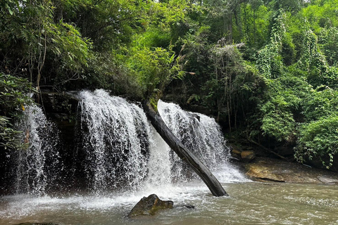 Chiang Mai: 1-Day Jungle Trekking in the Doi Inthanon Area
