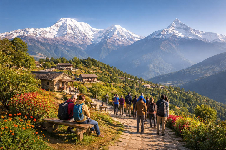 Pokhara: Annapurna Panorama Day Hike to Australian Camp