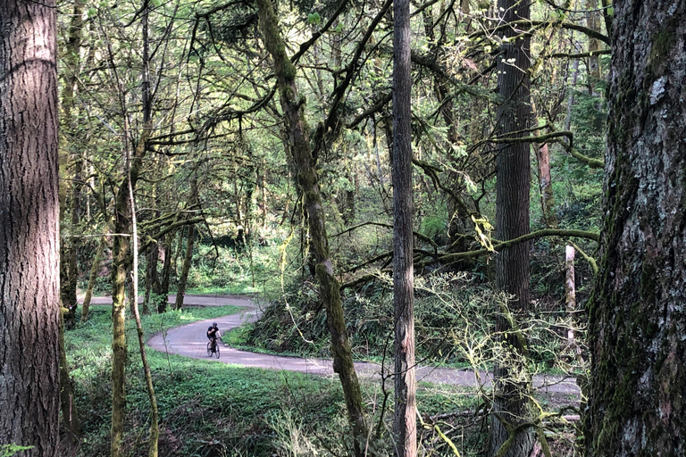 Portland: Forest Park Bike or E-Bike Tour Medium Carbon Gravel Bike (5'7"-5'11" or 170-181cm)