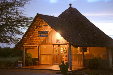 6 Days Explore Tanzania Big Five Wild Encounters Tour