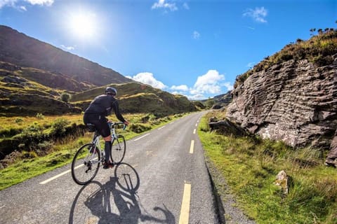 Killarney: Bike Rental with Killarney National Park Routes - Image 2