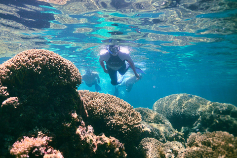 Rottnest Island: Guided Snorkeling Boat Tour with Gear