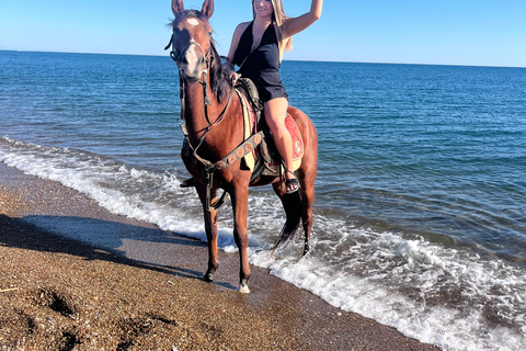 Antalya Horseback Riding Adventure Through Scenic Trails
