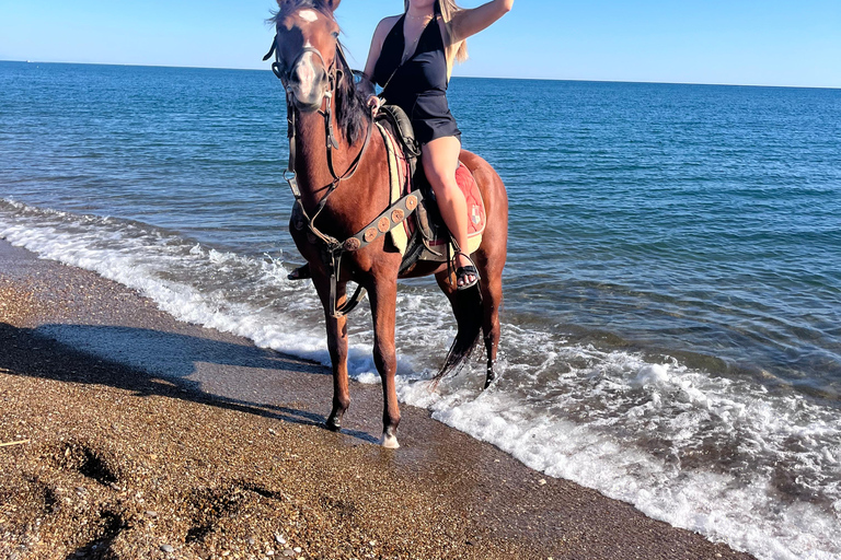Antalya Horseback Riding Adventure Through Scenic Trails
