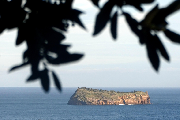 São Miguel: Whale Watching & Vila Franca Islet Snorkelling