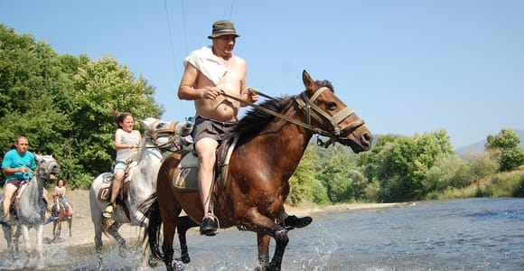 Side: Guided Forest and Beach Horse Experience