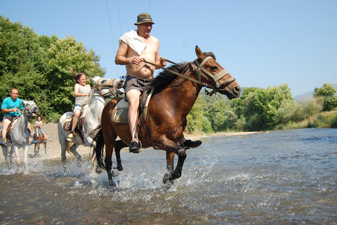 Side: Guided Forest and Beach Horse Experience