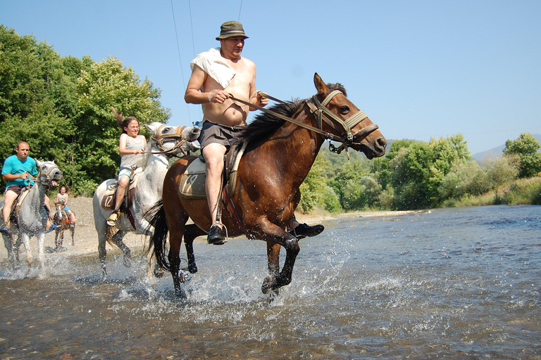 Side: Guided Forest and Beach Horse Experience