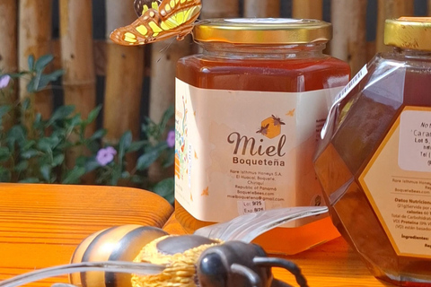 Boquete's Original Honey Tasting: 20+ Wild & Native Honeys