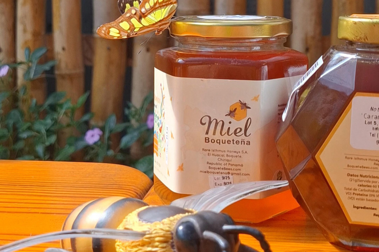 Boquete's Original Honey Tasting: 20+ Wild & Native Honeys