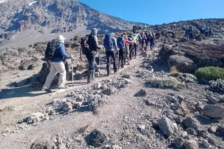 The Best 7-Day Rongai Route - Kilimanjaro Hiking