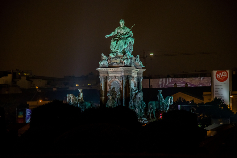 Vienna: Christmas Evening Tour with Schönbrunn Palace Lights