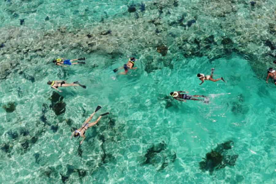 Key Largo: Schnorcheltour für Anfänger im Hidden Key Jachthafen. Foto: GetYourGuide