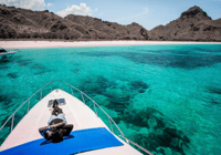 コモド島、3D2Nプライベートスピードボート、ランドツアー＆ホテル - Housity