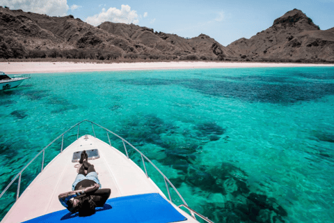 Isola di Komodo: Tour privato 3D2N in motoscafo, tour terrestre e hotel