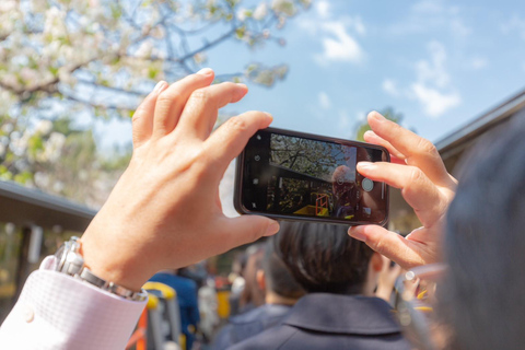 Tokio: sightseeingbus met open dak en audiogidsBay Route