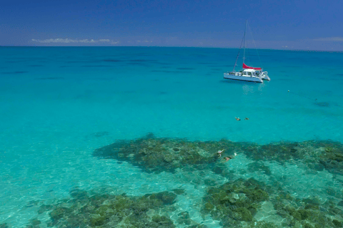 Cairns: Great Barrier Reef Snorkeling Tour - 20 guests max
