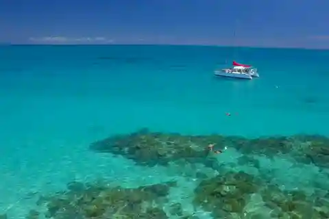 Cairns: Great Barrier Reef Snorkeling Tour with Lunch