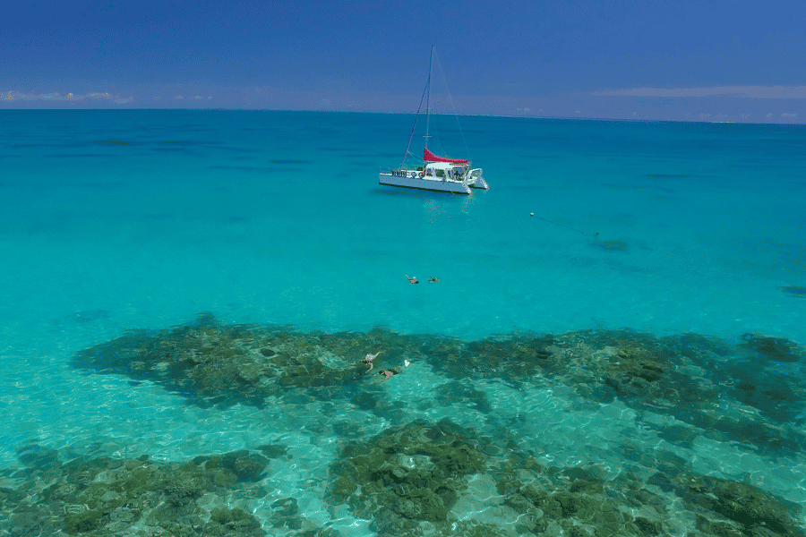 Cairns: Schnorcheltour zum Great Barrier Reef mit Mittagessen. Foto: GetYourGuide Cairns: Schnorcheltour zum Great Barrier Reef mit Mittagessen. Foto: GetYourGuide