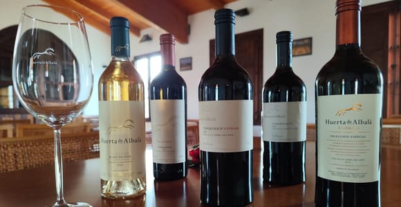 Arcos de la Frontera: "Taberner Experience" Wine Tasting at Huerta de Albalá