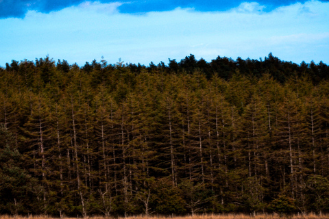 Capture Your Scottish Adventure – Professional Photography