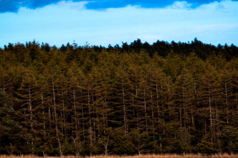 Capture Your Scottish Adventure – Professional Photography