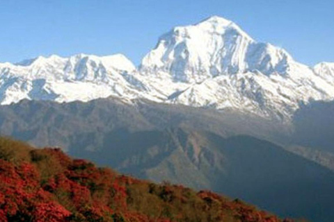 Nepal: Trilha do acampamento base do Annapurna (ABC) saindo de KatmanduNepal: Caminhada pelo acampamento base do Annapurna saindo de Katmandu